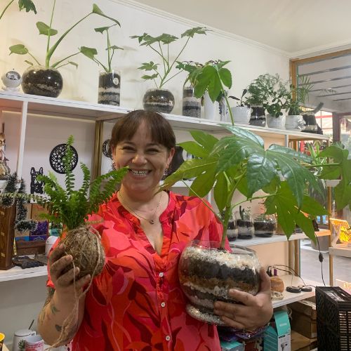 Pack Curso kokedama + Terrario