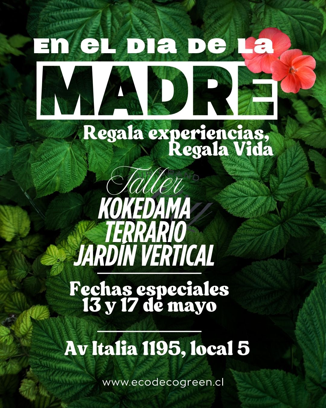 Taller especial Mamá