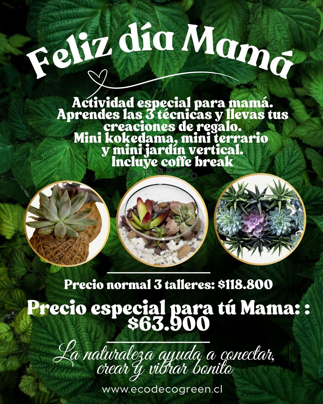 Taller especial Mamá