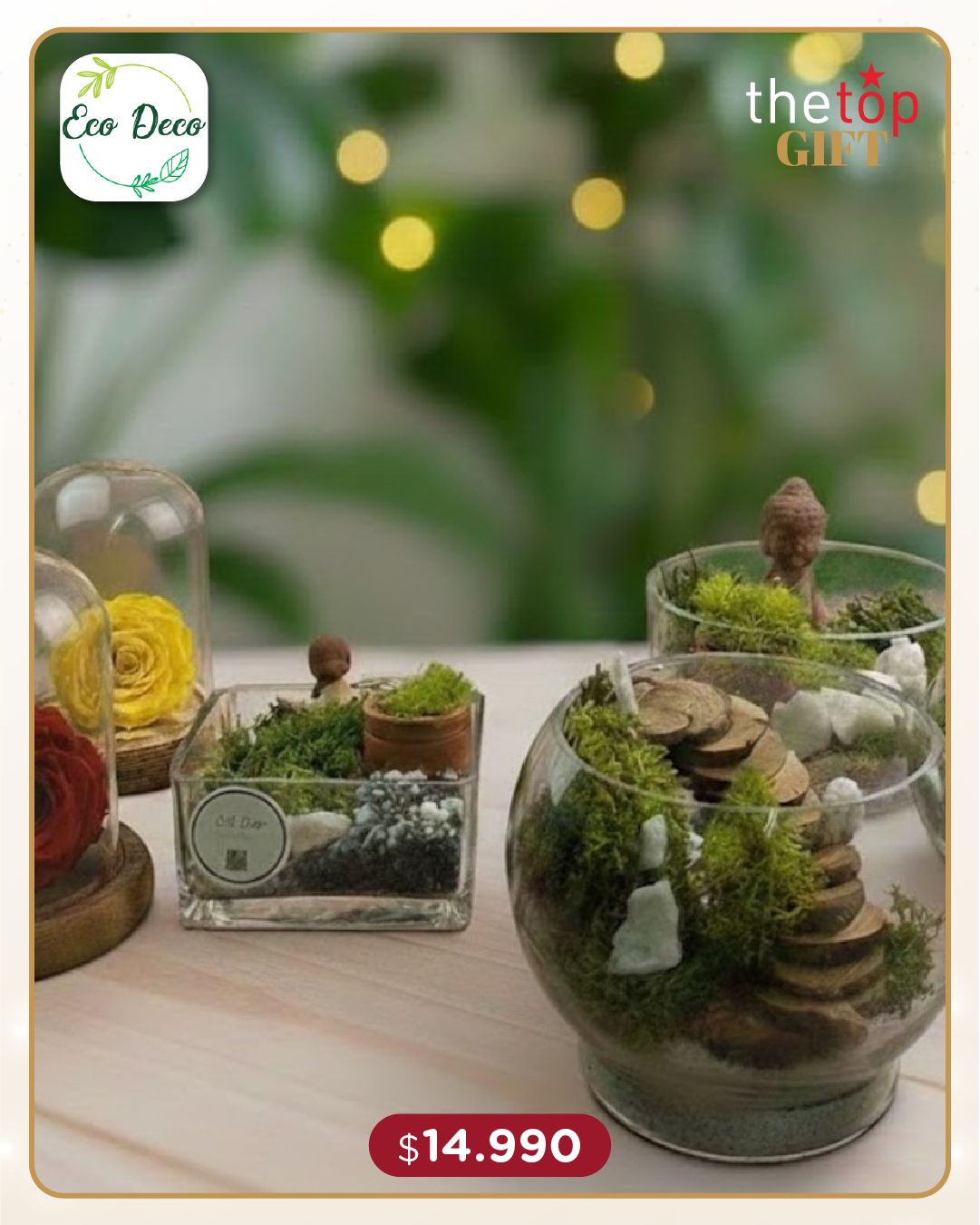 🌿 Terrario con Musgo Natural Preservado o Rosa Preservada