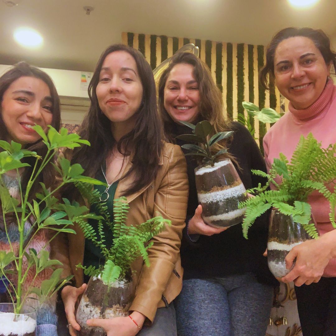 Pack curso kokedama + terrario + jardin vertical