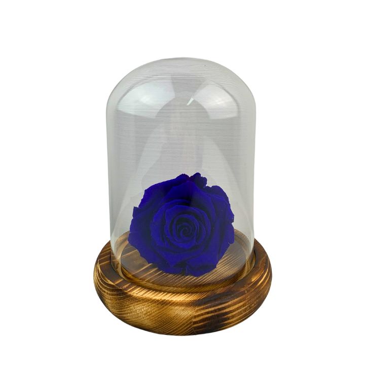 Rosa eterna azul, dura 5 años