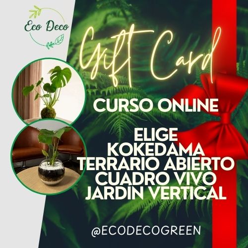 Preventa curso online