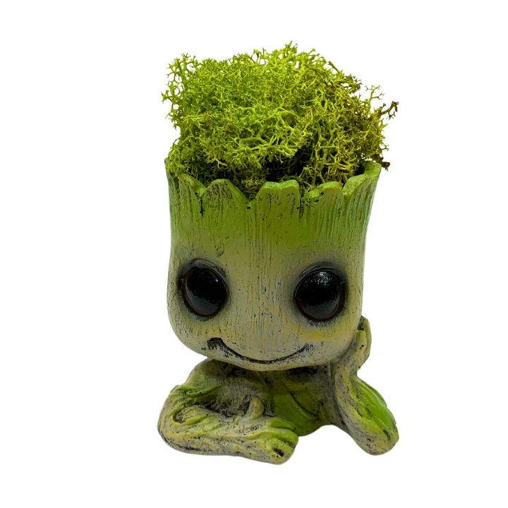 Groot con pelo de Musgo Natural, 8 años sin riego