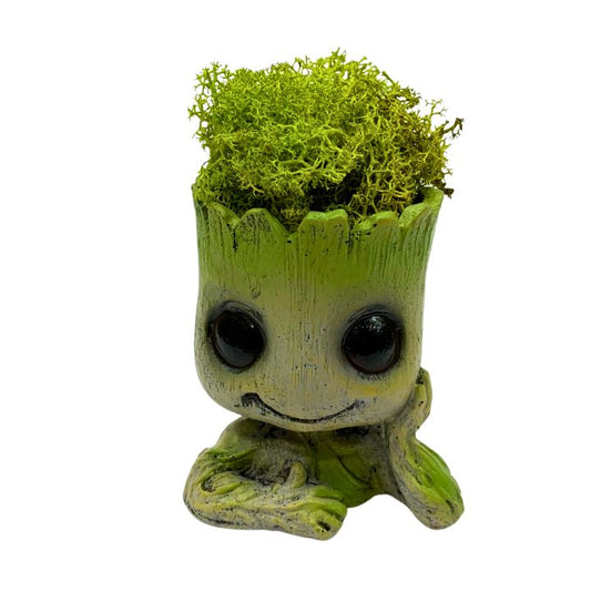 Groot con pelo de Musgo Natural, 8 años sin riego