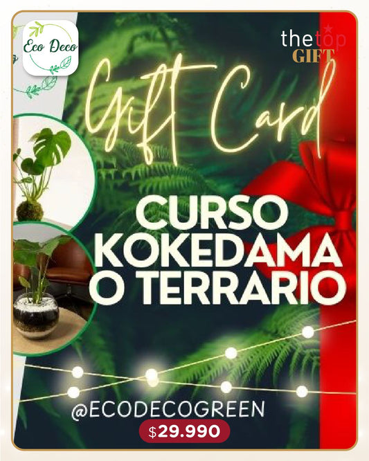 Gift Card Taller de Kokedama o Terrario