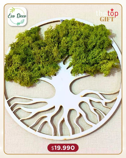 Árbol vida musgo natural sin riego 20 cm