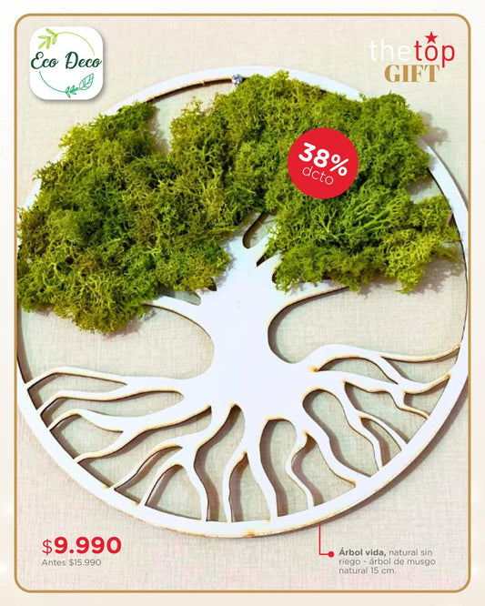 Árbol vida musgo natural sin riego 15 cm