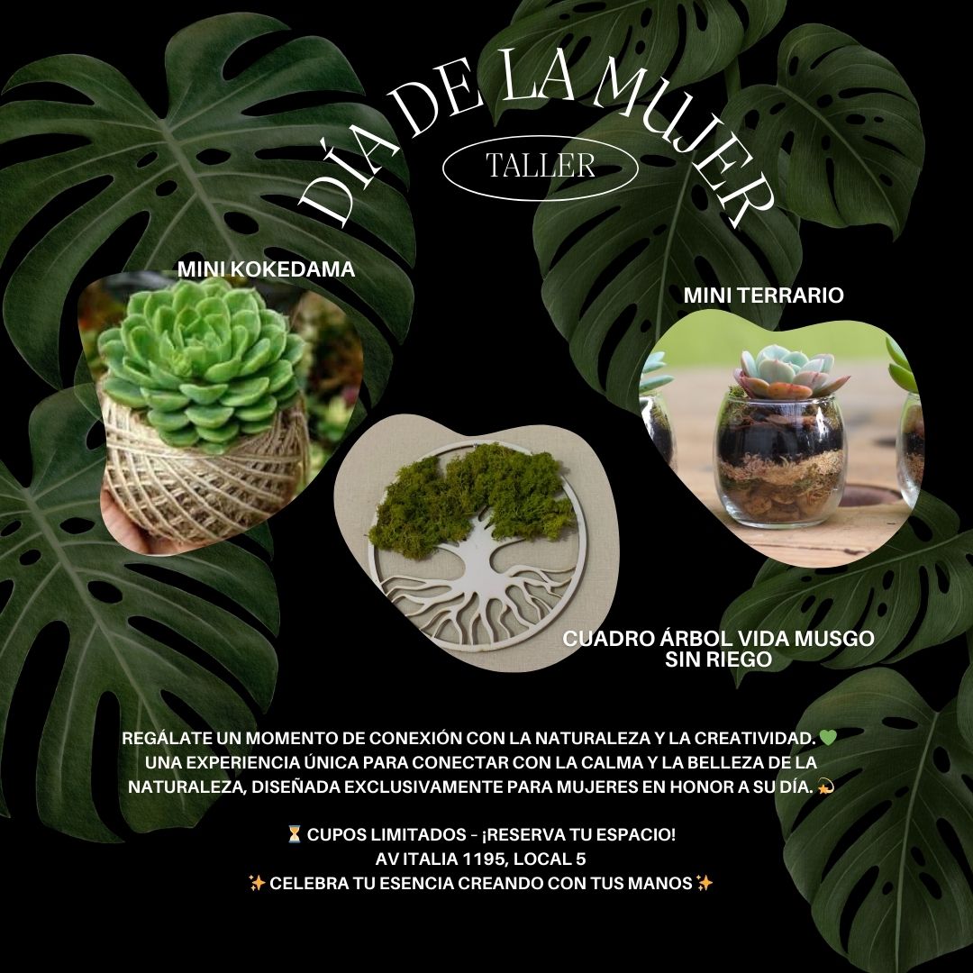 Taller, Conecta con la Naturaleza