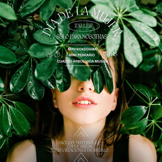 Taller, Conecta con la Naturaleza
