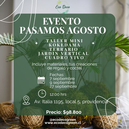 🌿 Taller “Pasamos Agosto” – 4 Mini Creaciones Verdes
