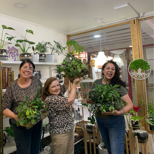 Curso x 4, kokedama + terrario + cuadro vivo + jardín vertical
