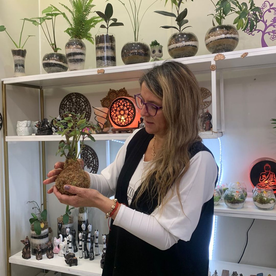 Curso x 4, kokedama + terrario + cuadro vivo + jardín vertical